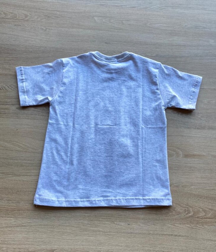 fernandaramoskids com br Camiseta Infantil Masculina Manga Curta Cinza com Estampa2