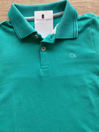 fernandaramosstore com br Camiseta Infantil Masculina Polo Essencial Slim Ogochi Verde Água1