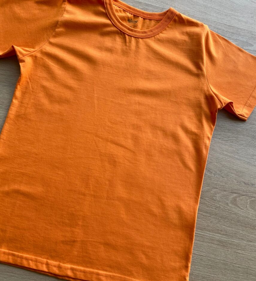 fernandaramoskids com br Camiseta Masculina Infantil Básica Manga Curta Laranja1