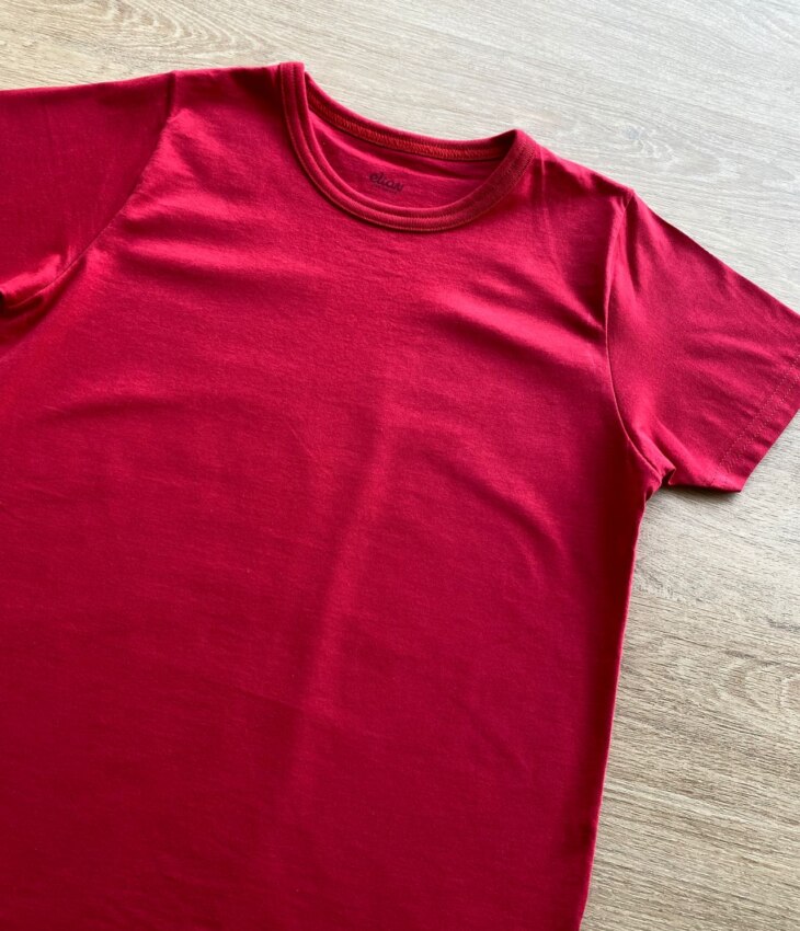 fernandaramoskids com br Camiseta Masculina Infantil Básica Manga Curta Vermelha1