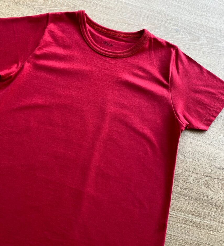 fernandaramoskids com br Camiseta Masculina Infantil Básica Manga Curta Vermelha1