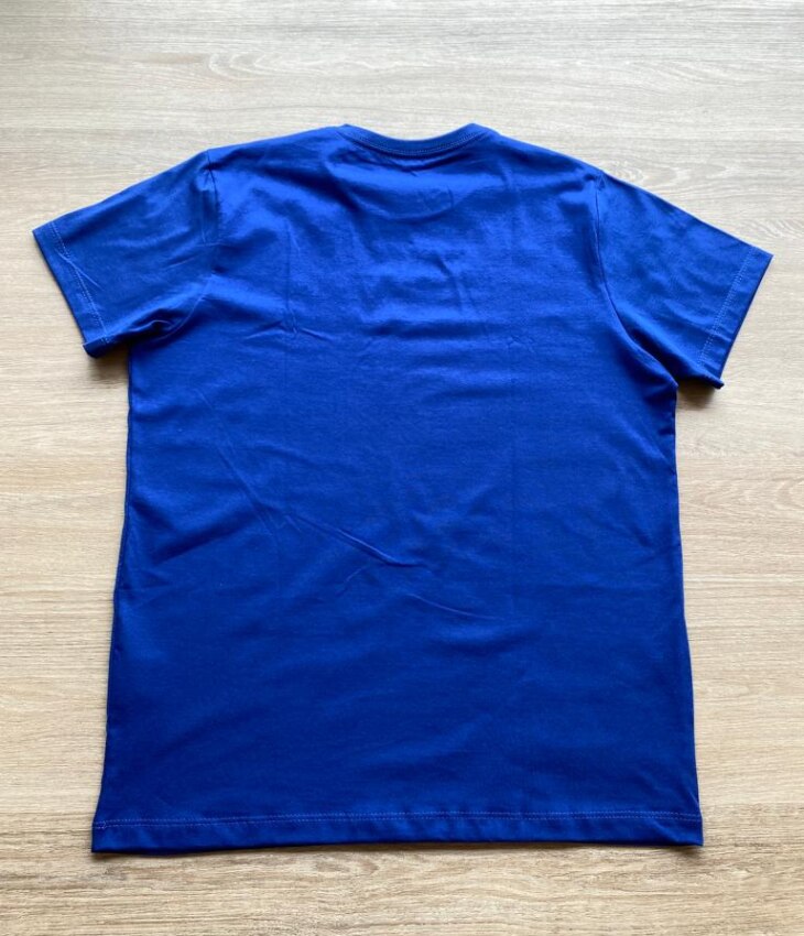 fernandaramoskids com br Camiseta Masculina Infantil Essencial Manga Curta Azul2