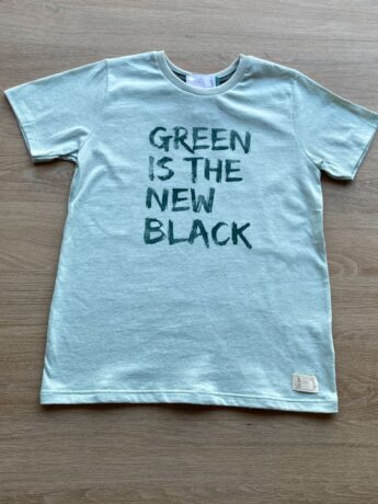 fernandaramoskids com br Camiseta Masculina Infantil Manga Curta Verde Água1