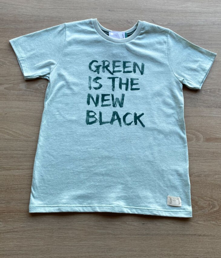 fernandaramoskids com br Camiseta Masculina Infantil Manga Curta Verde Água1