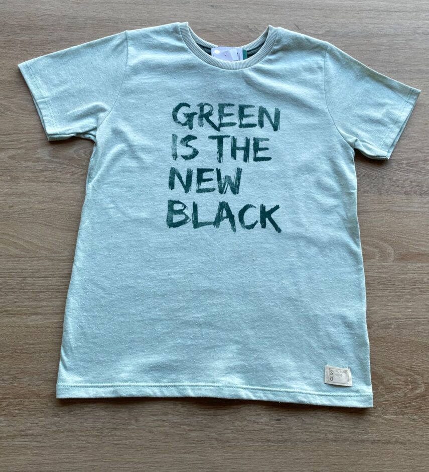 fernandaramoskids com br Camiseta Masculina Infantil Manga Curta Verde Água1