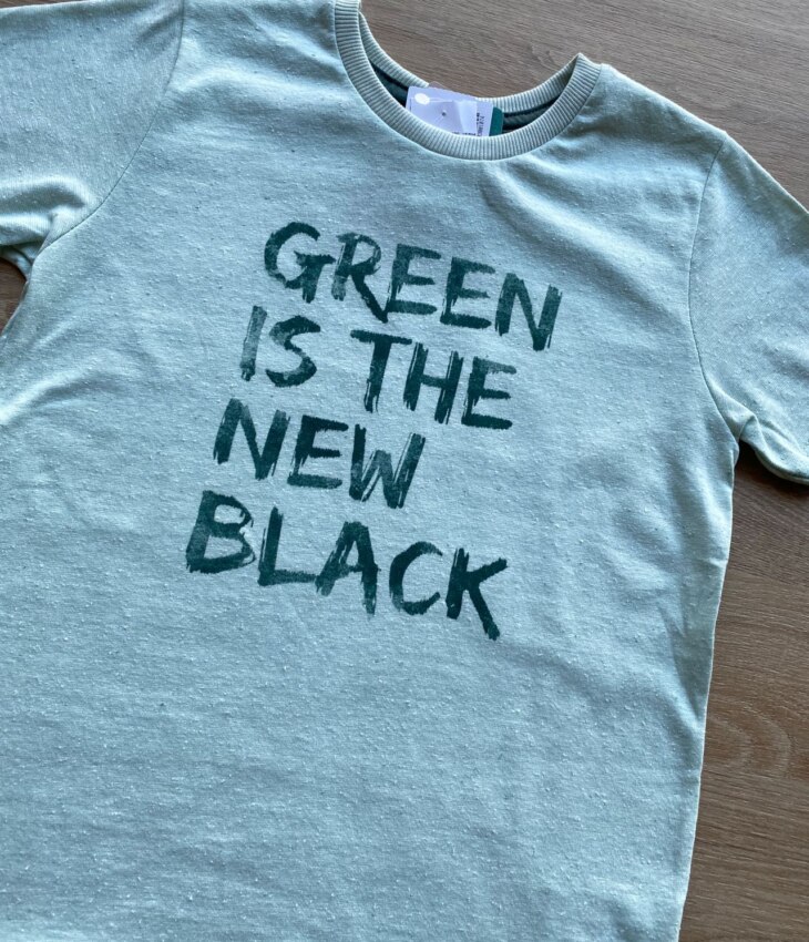 fernandaramoskids com br Camiseta Masculina Infantil Manga Curta Verde Água2