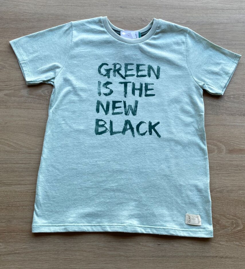 Camiseta Masculina Infantil Manga Curta Verde Água Fernanda Ramos Kids