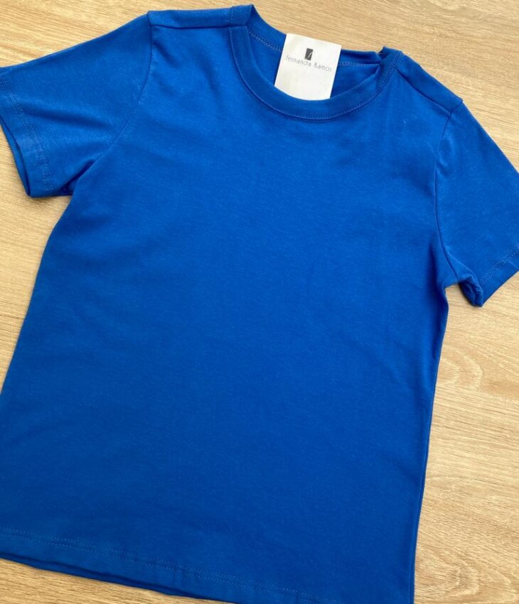 fernandaramoskids com br Camiseta Masculina Infantil Tradicional Manga Curta Azul1