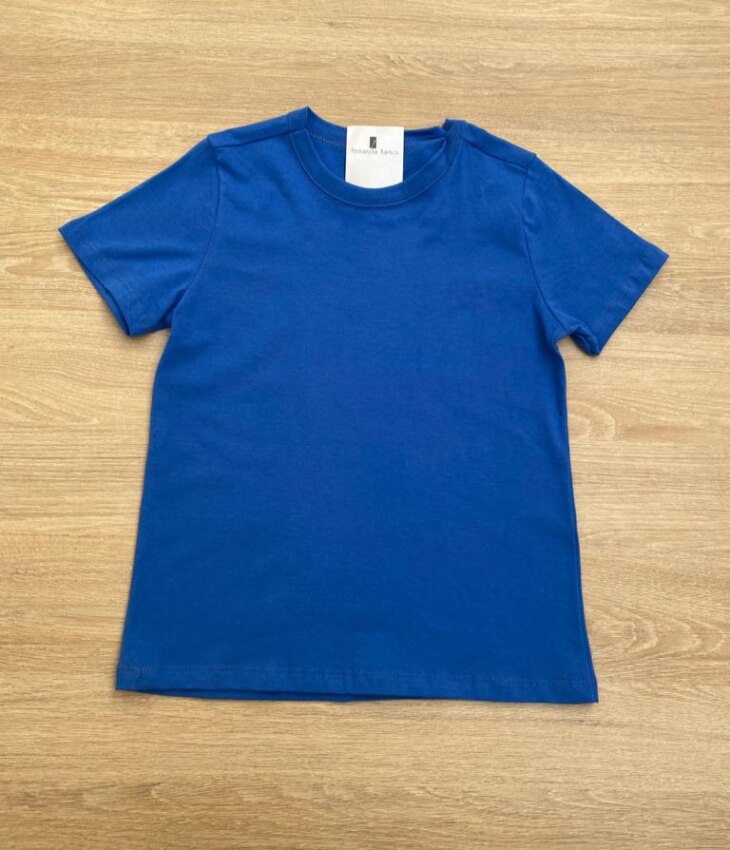 Camiseta Masculina Infantil Tradicional Manga Curta Azul Fernanda Ramos Kids