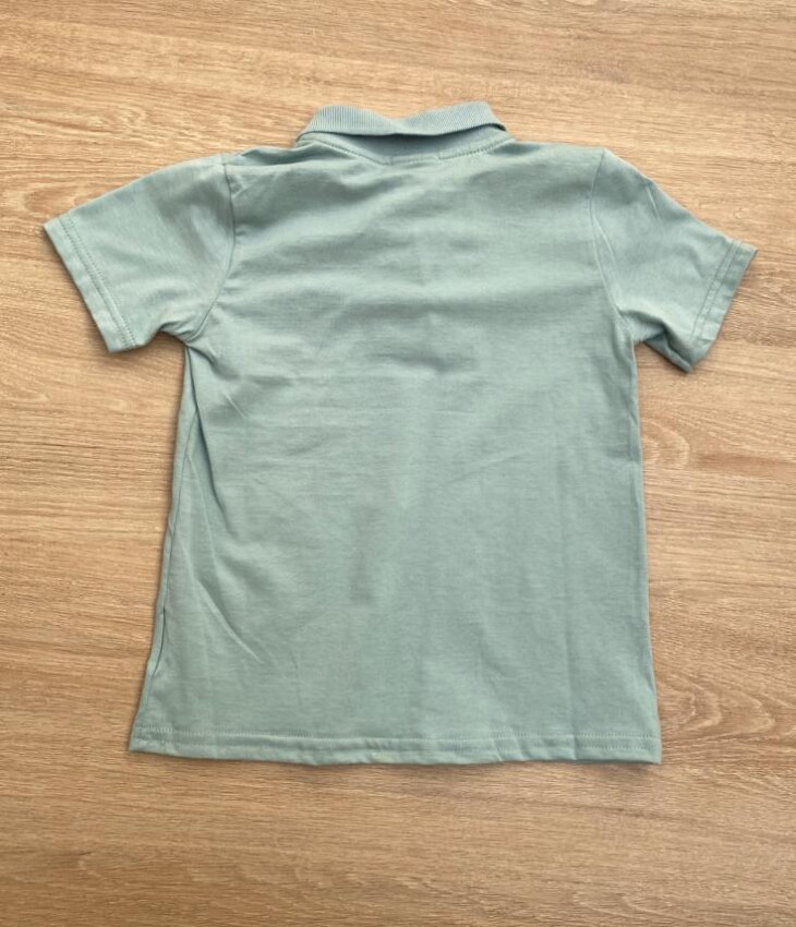 fernandaramoskids com br Camiseta Polo Masculina Infantil Manga Curta Verde2