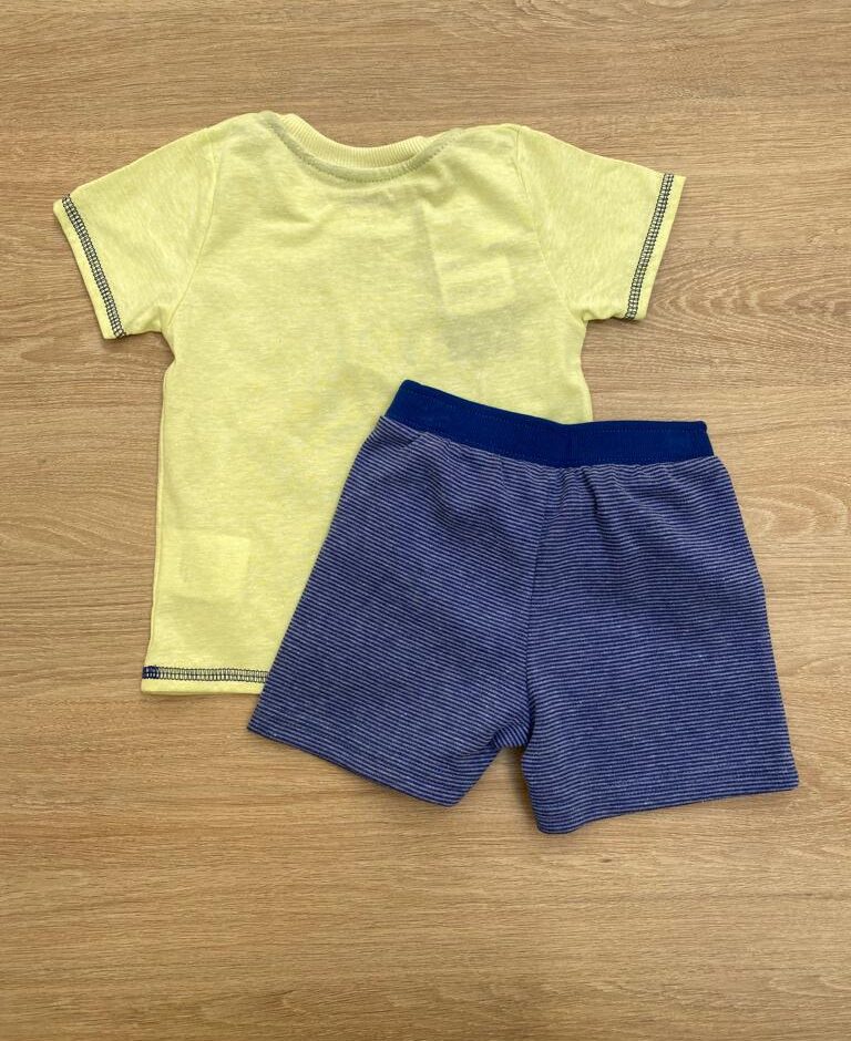 fernandaramoskids com br Conjunto Infantil Masculino Camiseta Verde Lima e Bermuda Listrada Azul3