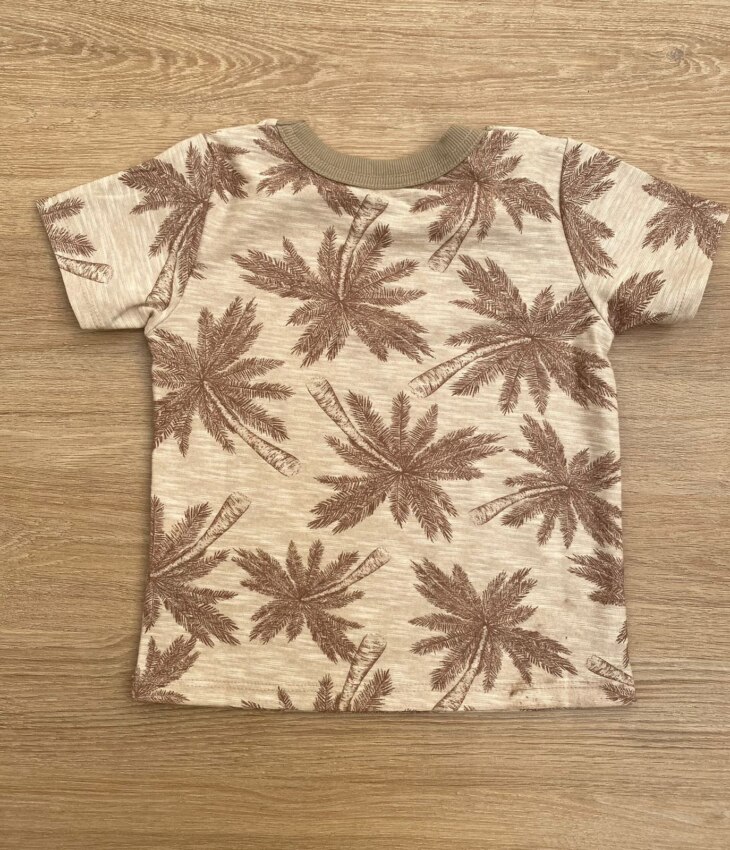 fernandaramoskids com br Conjunto Masculino Infantil Camiseta Estampada e Short com Bolso2