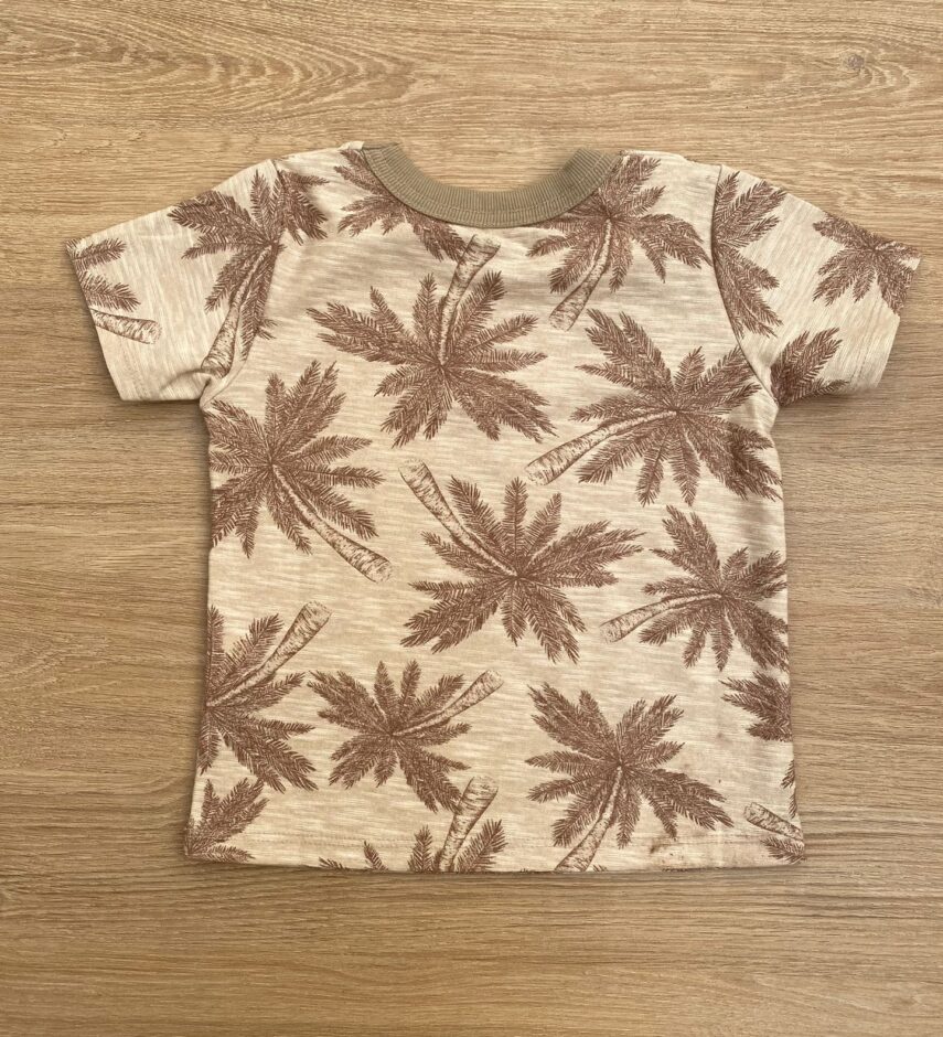 fernandaramoskids com br Conjunto Masculino Infantil Camiseta Estampada e Short com Bolso2