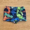 fernandaramoskids com br Sunga Masculina Infantil Estampada de Dinossauros