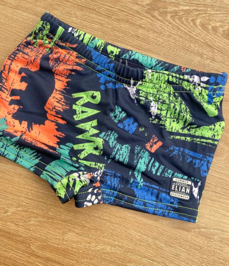 fernandaramoskids com br Sunga Masculina Infantil Estampada de Dinossauros1