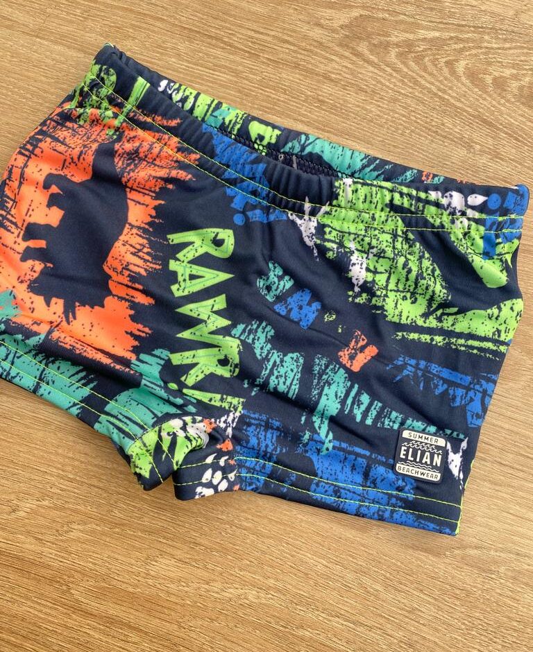 fernandaramoskids com br Sunga Masculina Infantil Estampada de Dinossauros1