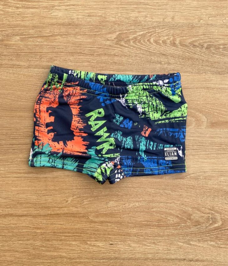 Sunga Masculina Infantil Estampada de Dinossauros Fernanda Ramos Kids