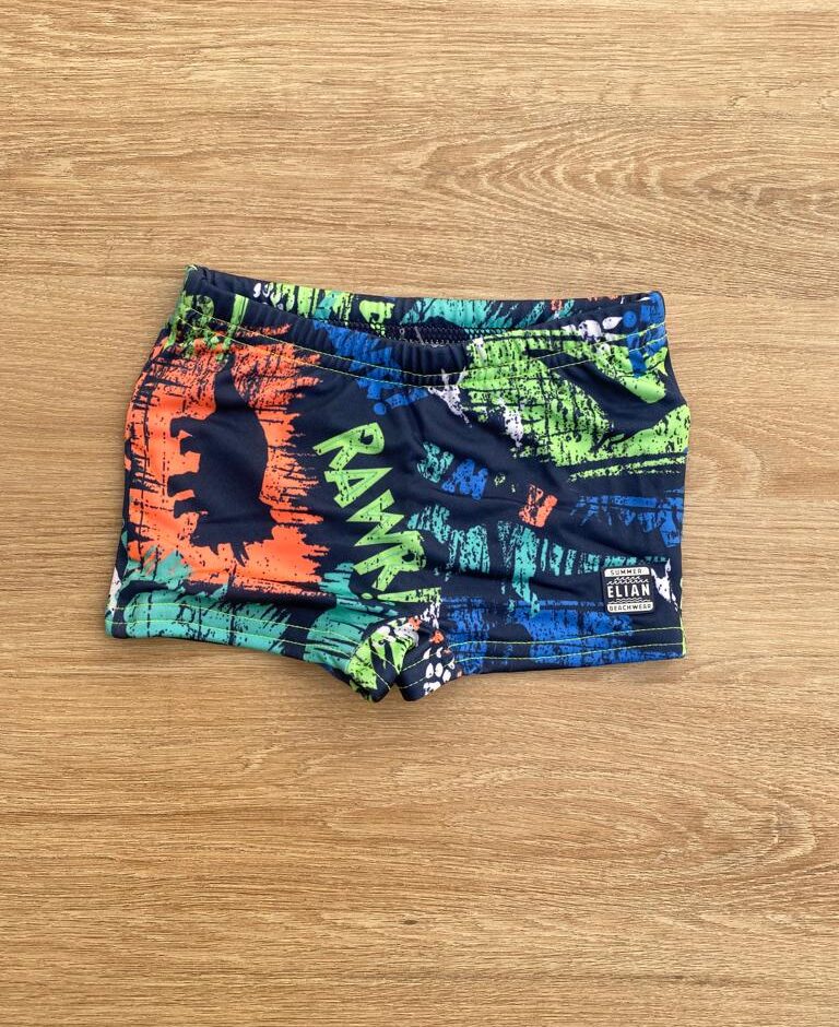 Sunga Masculina Infantil Estampada de Dinossauros Fernanda Ramos Kids