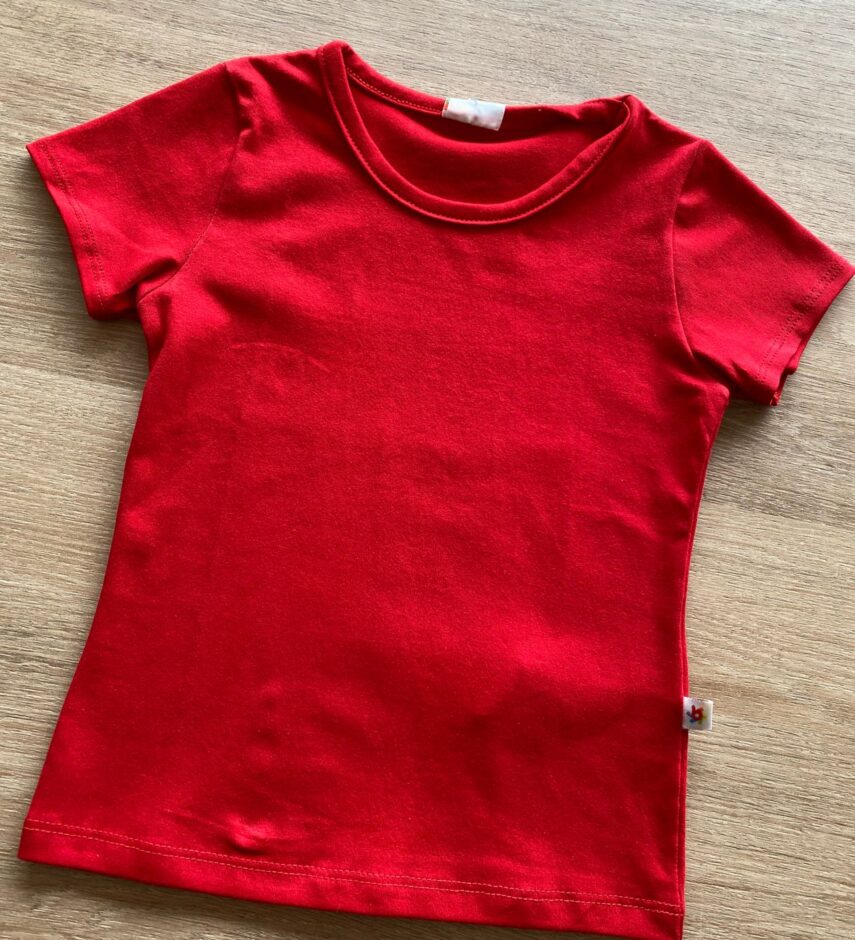 fernandaramosstore com br Camiseta Masculina Infantil Manga Curta Vermelha Básica1