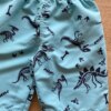 fernandaramoskids com br Bermuda Infantil Masculina Dinossauros Azul1