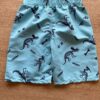 fernandaramoskids com br Bermuda Infantil Masculina Dinossauros Azul2
