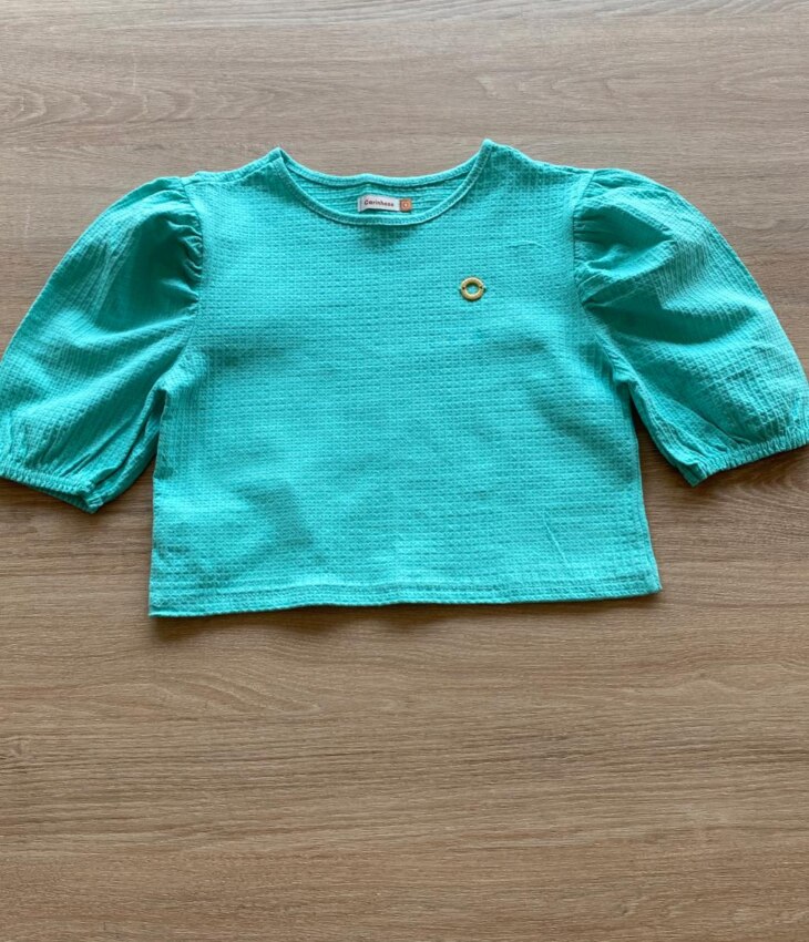 fernandaramoskids com br Blusa Cropped Manga Princesa Texturizada Verde Água1
