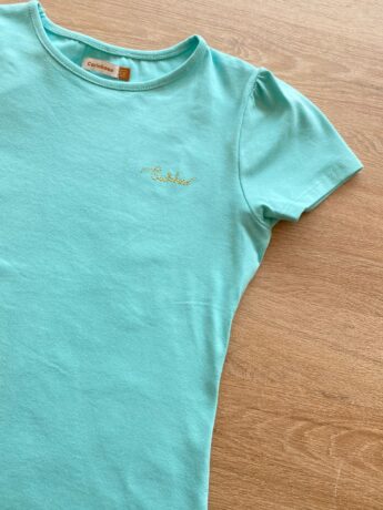 fernandaramoskids com br Blusa Manga Curta Infantil Feminina Azul Bebê1