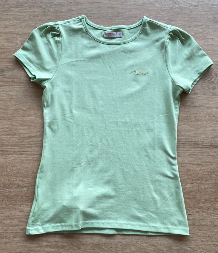 Blusa Manga Curta Infantil Feminina Verde Claro Fernanda Ramos Kids