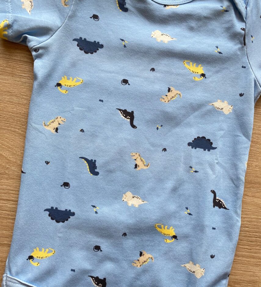 fernandaramoskids com br Body Infantil Masculino Manga Curta Azul Dinossauros1