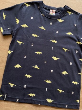 fernandaramoskids com br Camiseta Infantil Masculina Cinza Dinossauros1