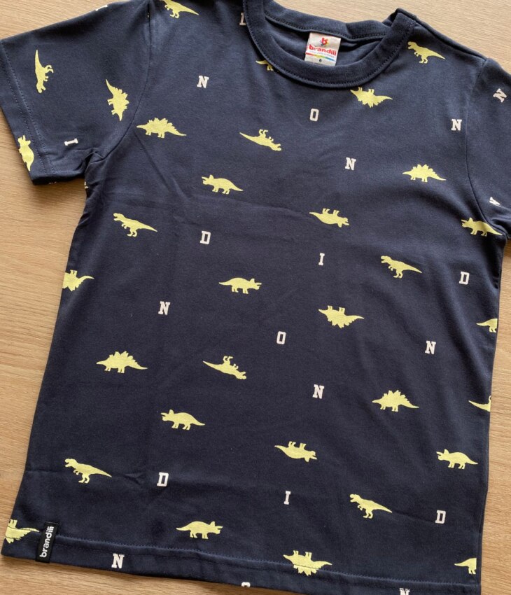 fernandaramoskids com br Camiseta Infantil Masculina Cinza Dinossauros1