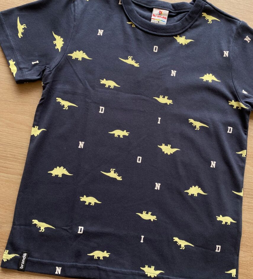 fernandaramoskids com br Camiseta Infantil Masculina Cinza Dinossauros1