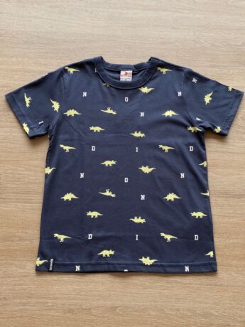 Camiseta Infantil Masculina Cinza Dinossauros Fernanda Ramos Kids