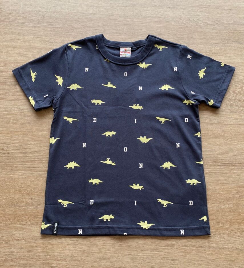 Camiseta Infantil Masculina Cinza Dinossauros Fernanda Ramos Kids