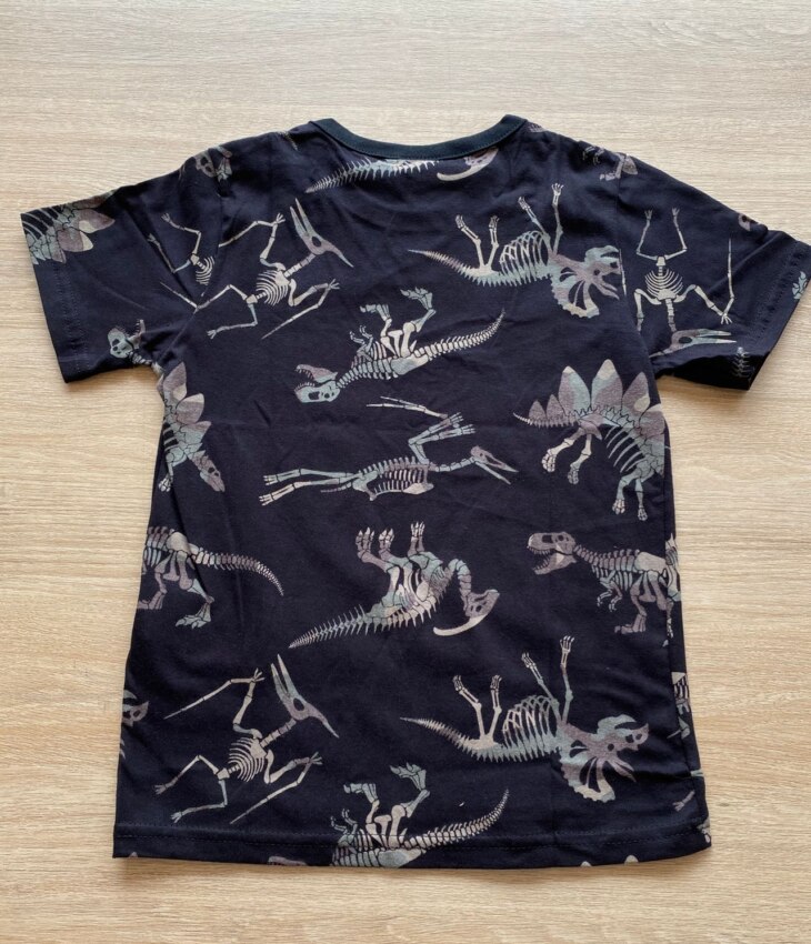 fernandaramoskids com br Camiseta Infantil Masculina Manga Curta Preta Dinossauros2