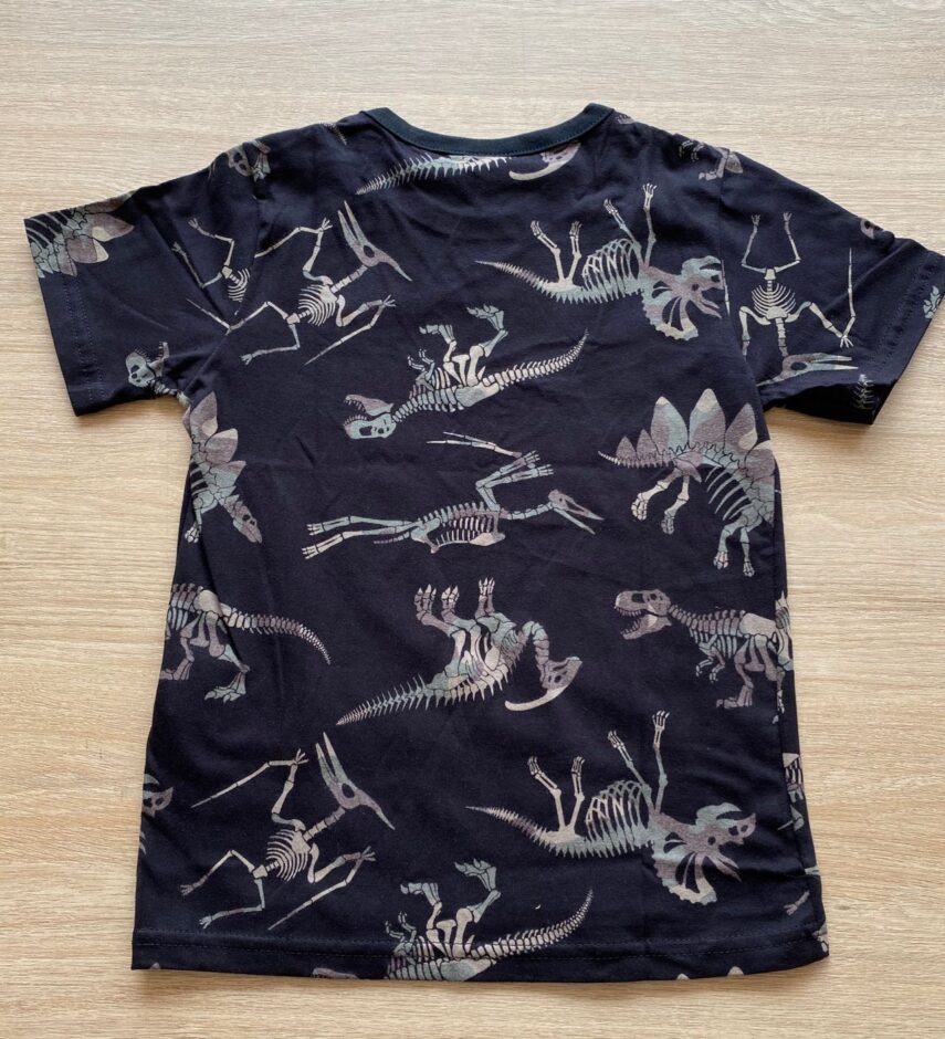 fernandaramoskids com br Camiseta Infantil Masculina Manga Curta Preta Dinossauros2