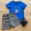 fernandaramoskids com br Conjunto Infantil Masculino Camiseta Azul e Bermuda Cinza Mesclado1