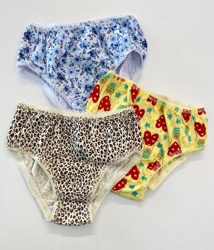 fernandaramoskids com br Kit 3 Calcinhas Infantil Feminina de Algodão Estampadas1