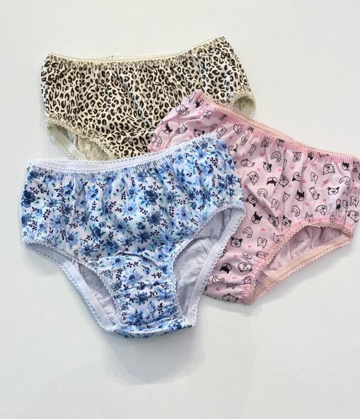 fernandaramoskids com br Kit 3 Calcinhas Infantil Feminina em Algodão Estampadas2
