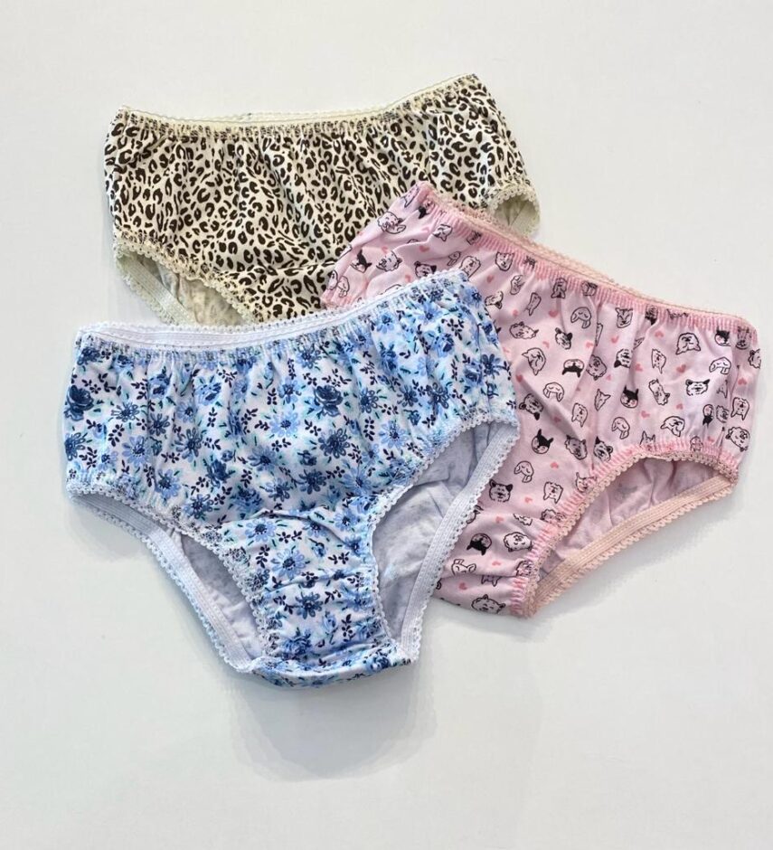 fernandaramoskids com br Kit 3 Calcinhas Infantil Feminina em Algodão Estampadas2