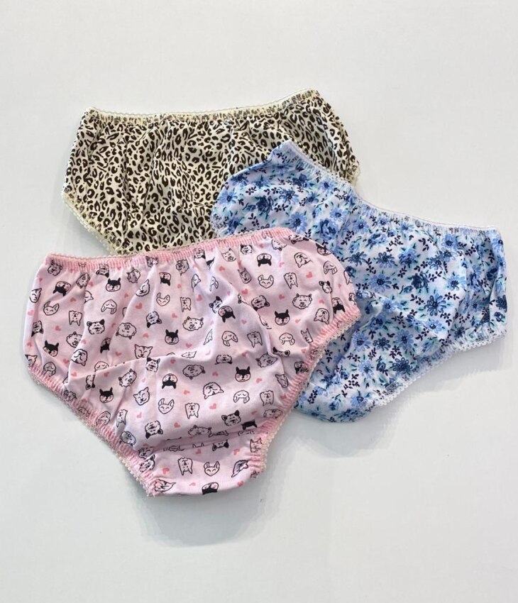 fernandaramoskids com br Kit 3 Calcinhas Infantil Feminina em Algodão Estampadas4