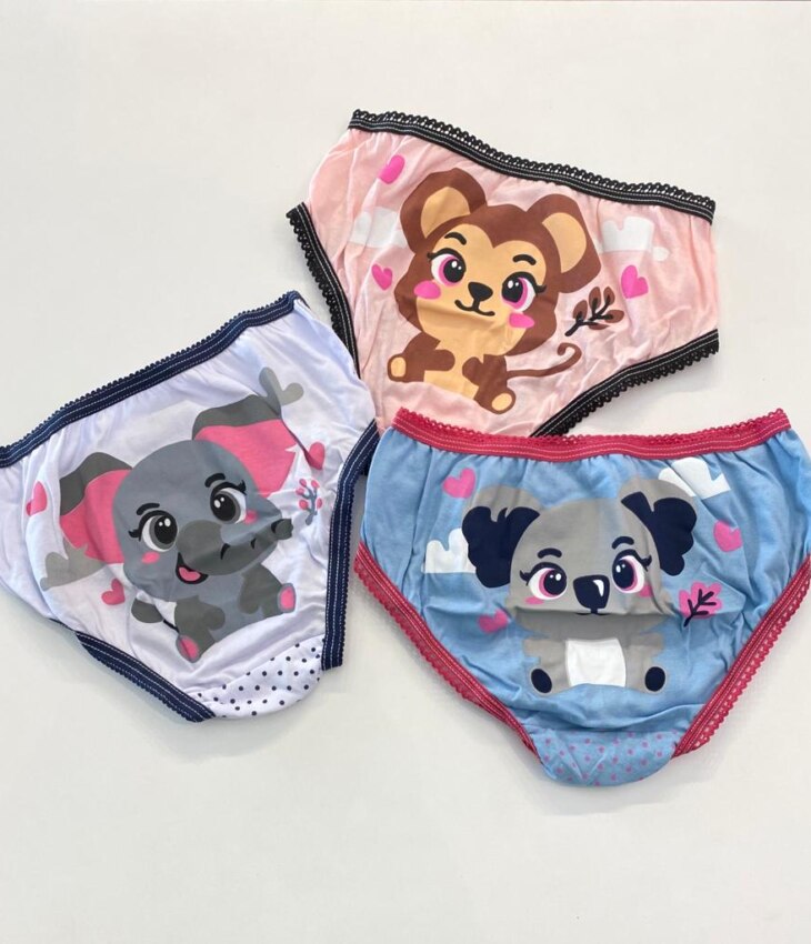 fernandaramoskids com br Kit Calcinha Infantil Feminina Estampada4