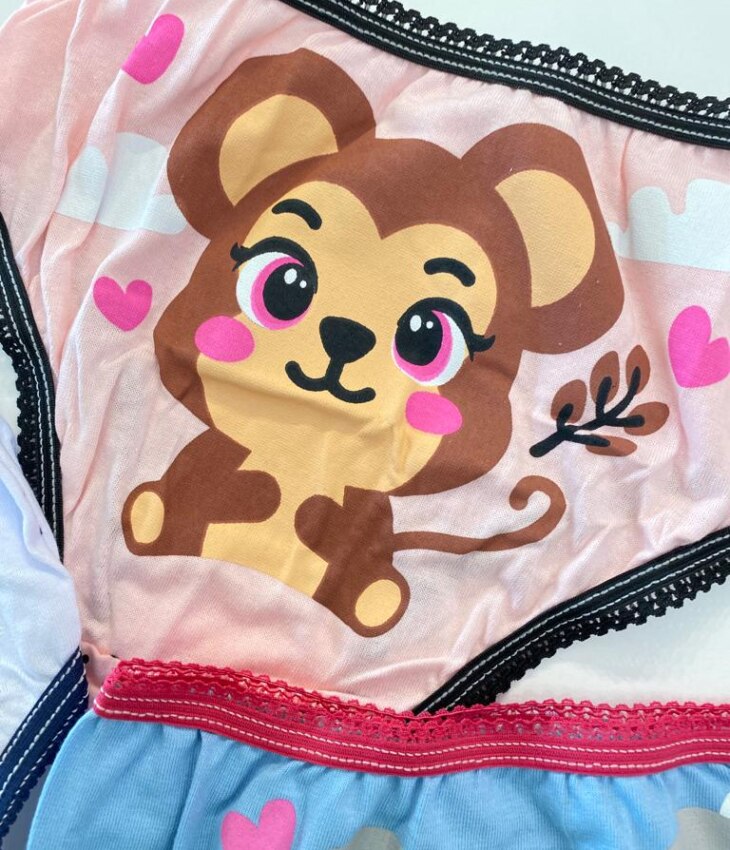 fernandaramoskids com br Kit Calcinha Infantil Feminina Estampada5