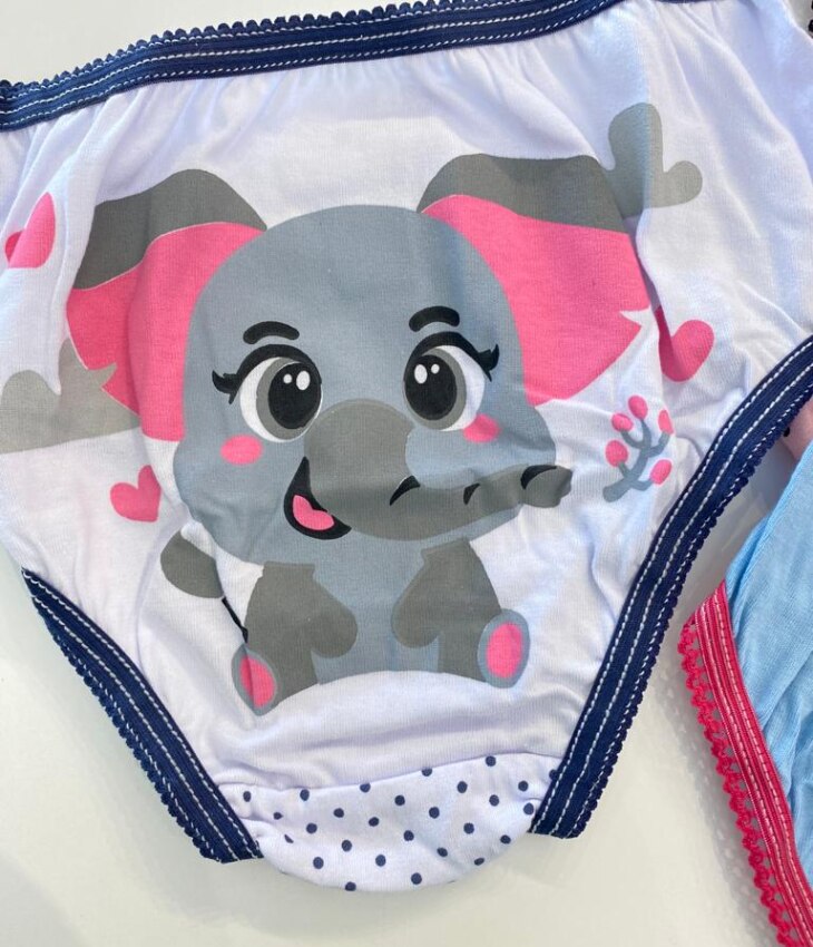 fernandaramoskids com br Kit Calcinha Infantil Feminina Estampada6