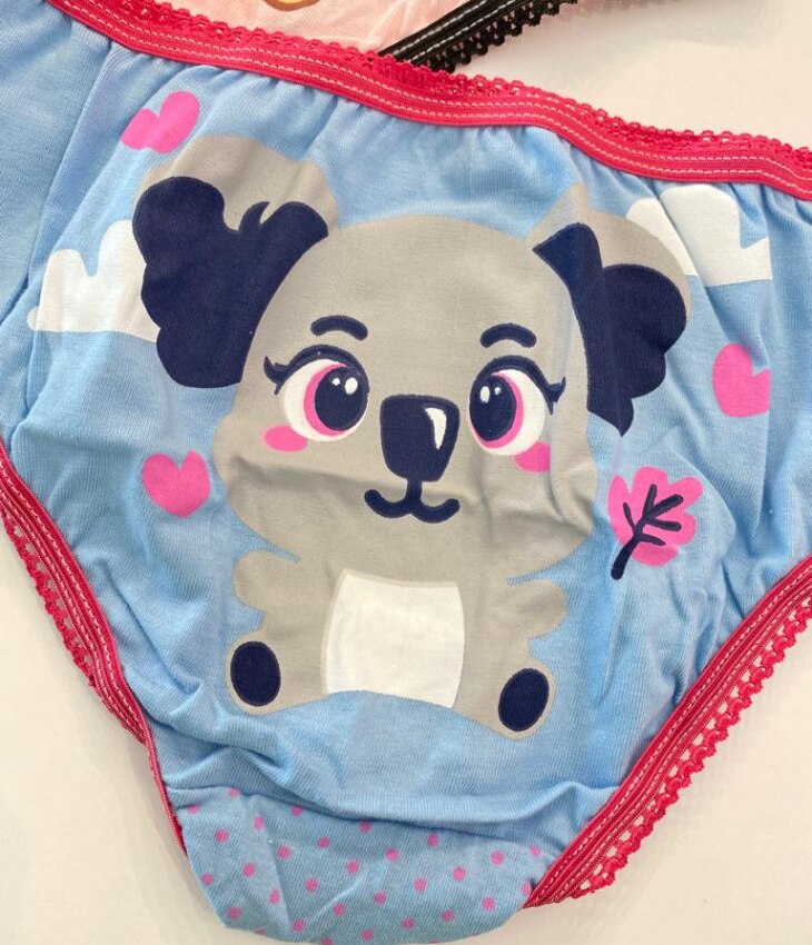 fernandaramoskids com br Kit Calcinha Infantil Feminina Estampada7