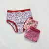 fernandaramoskids com br Kit Calcinha Infantil Feminina Estampada com Lacinho2