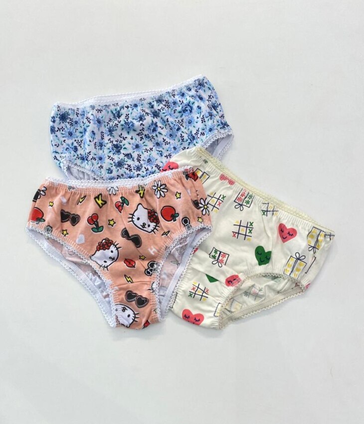 fernandaramoskids com br Kit Calcinha Infantil Feminina Estampada em Algodão3