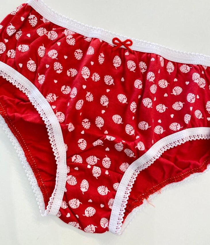 fernandaramoskids com br Kit Calcinha Infantil Feminina Estampada Moranguinhos4