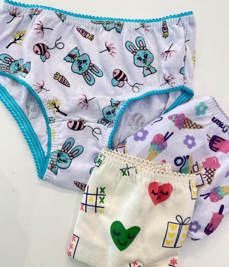 fernandaramoskids com br Kit com 3 Calcinhas Infantil Feminina Estampadas1