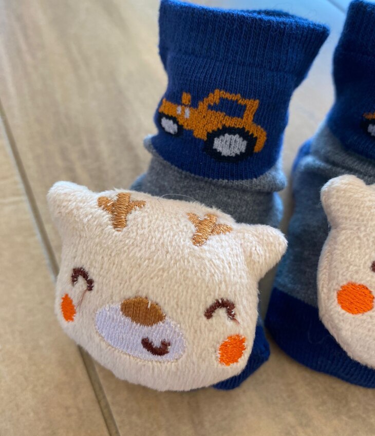 fernandaramoskids com br Meia Infantil Masculina Antiderrapante Cinza com Bichinho1